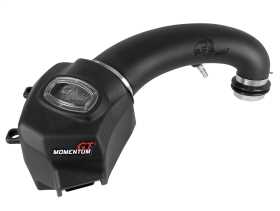 Momentum GT Pro DRY S Air Intake System 50-70013D